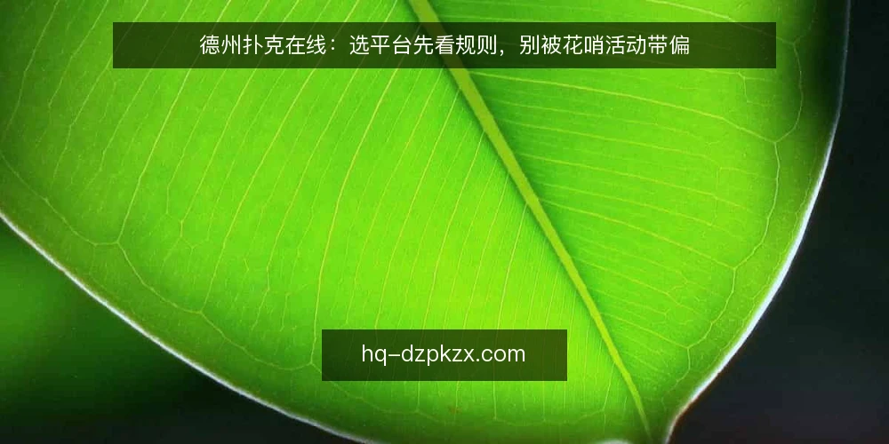 德州扑克在线：选平台先看规则，别被花哨活动带偏 — 先定义：你需要的德州扑克在线到底是什么 配图