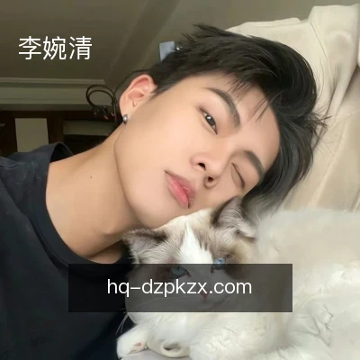 李婉清